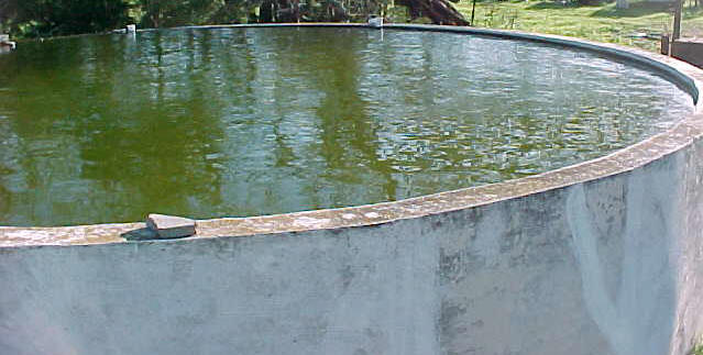 Aquaponic Farms